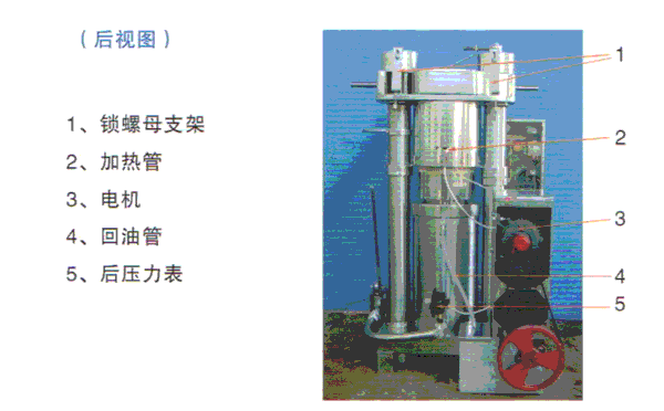 芝麻榨油機后視圖.png